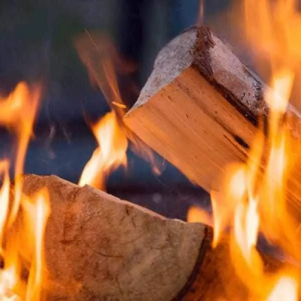 Fire Pit and Chiminea Kiln Dried Logs