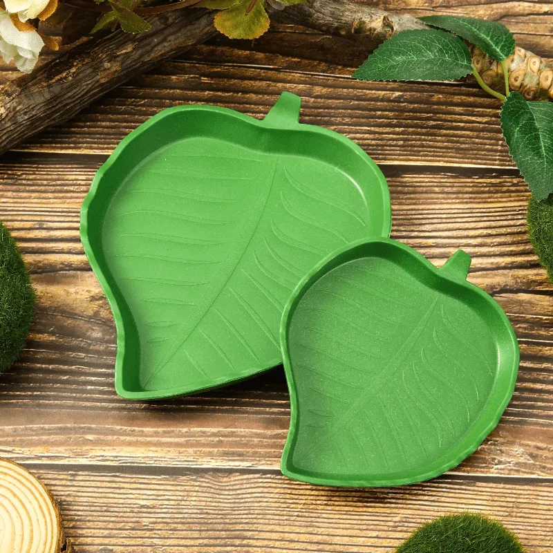 Versatile Reptile Habitat Bowl  Ideal for Various Reptiles