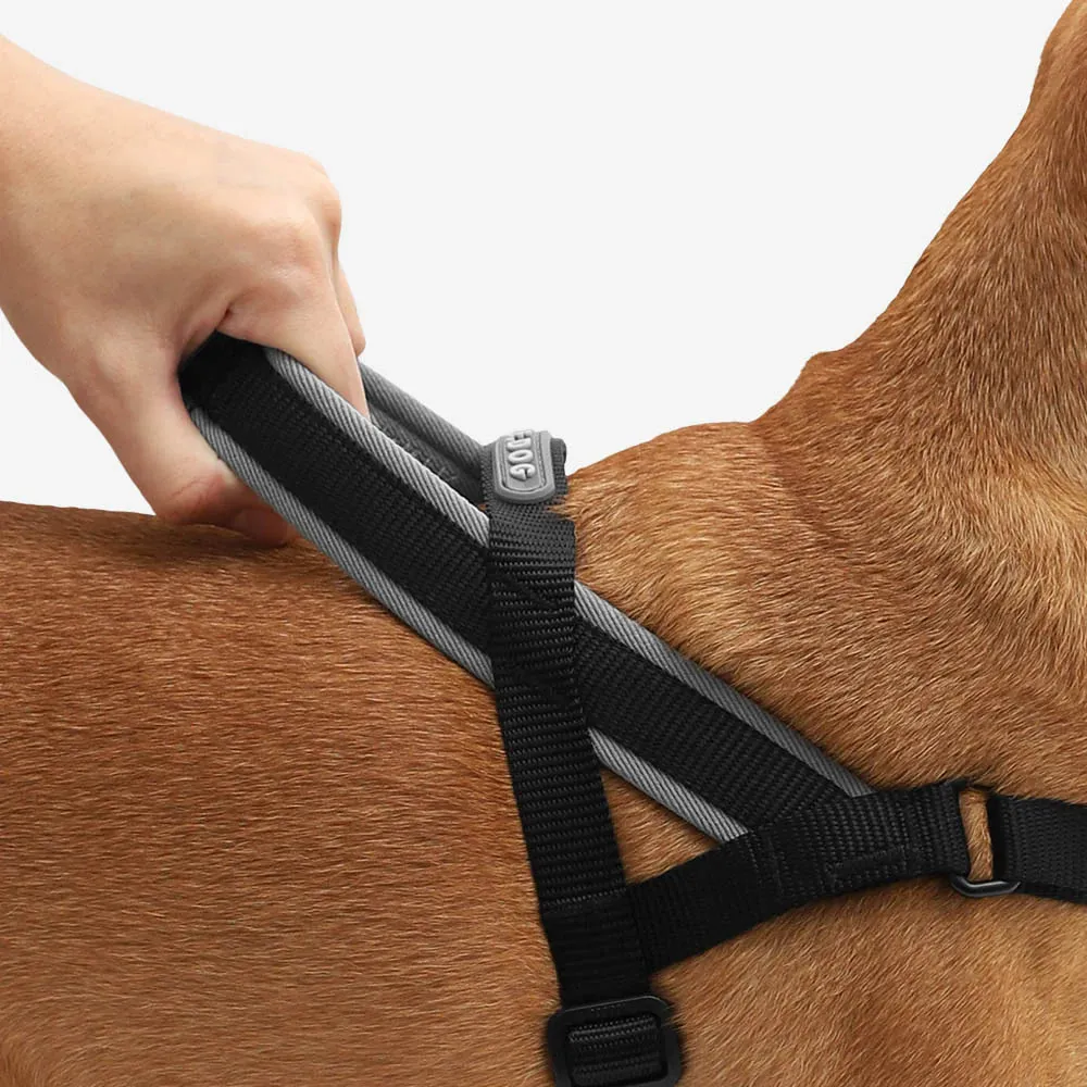 Zee.Dog SofterWalk Harness - Gotham