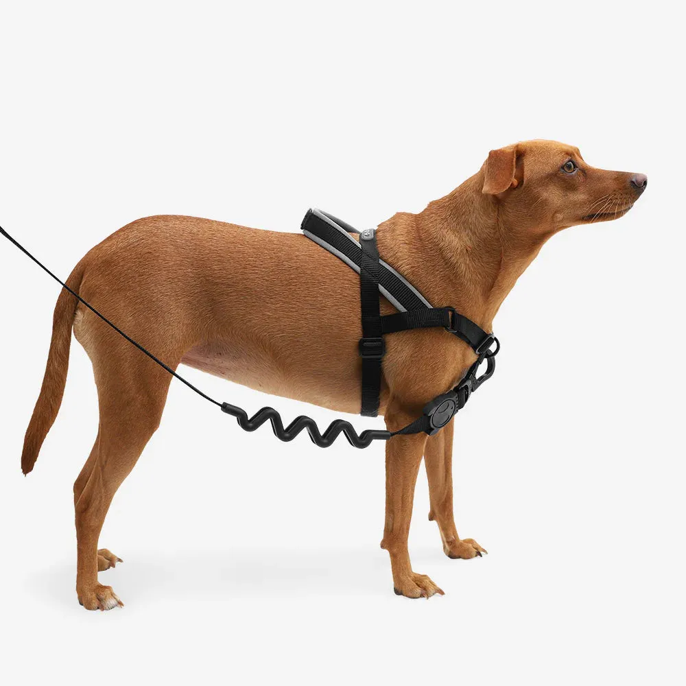 Zee.Dog SofterWalk Harness - Gotham